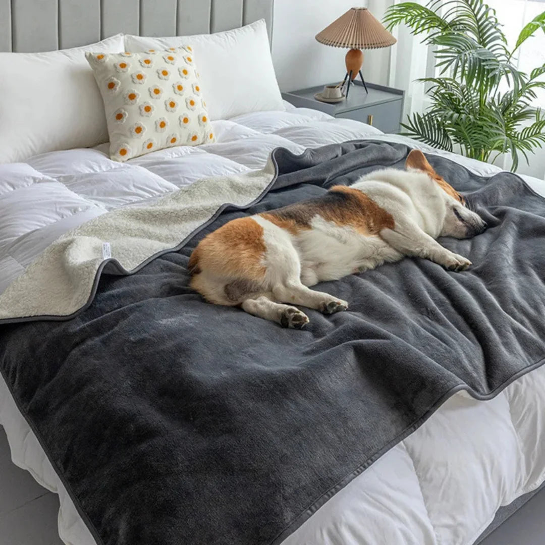 Waterproof Blanket by Plofty – Dark Gray