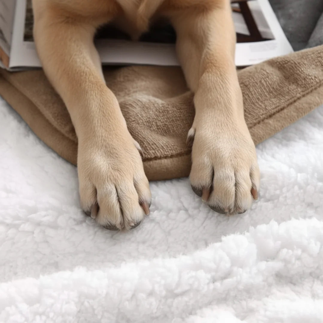 Waterproof Blanket by Plofty – Beige