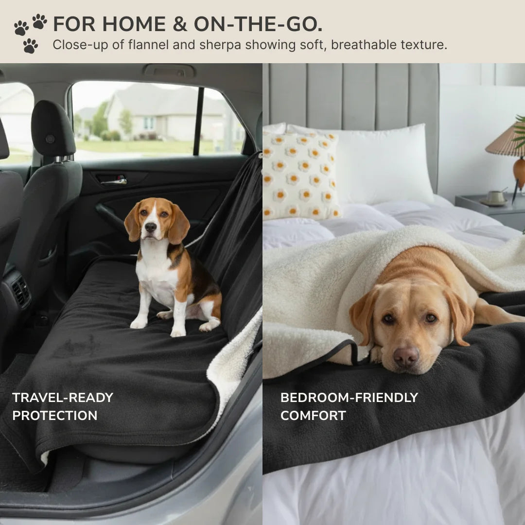 Waterproof Blanket by Plofty – Black