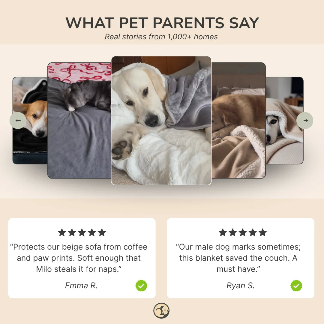 Waterproof Blanket by Plofty – Dark Gray