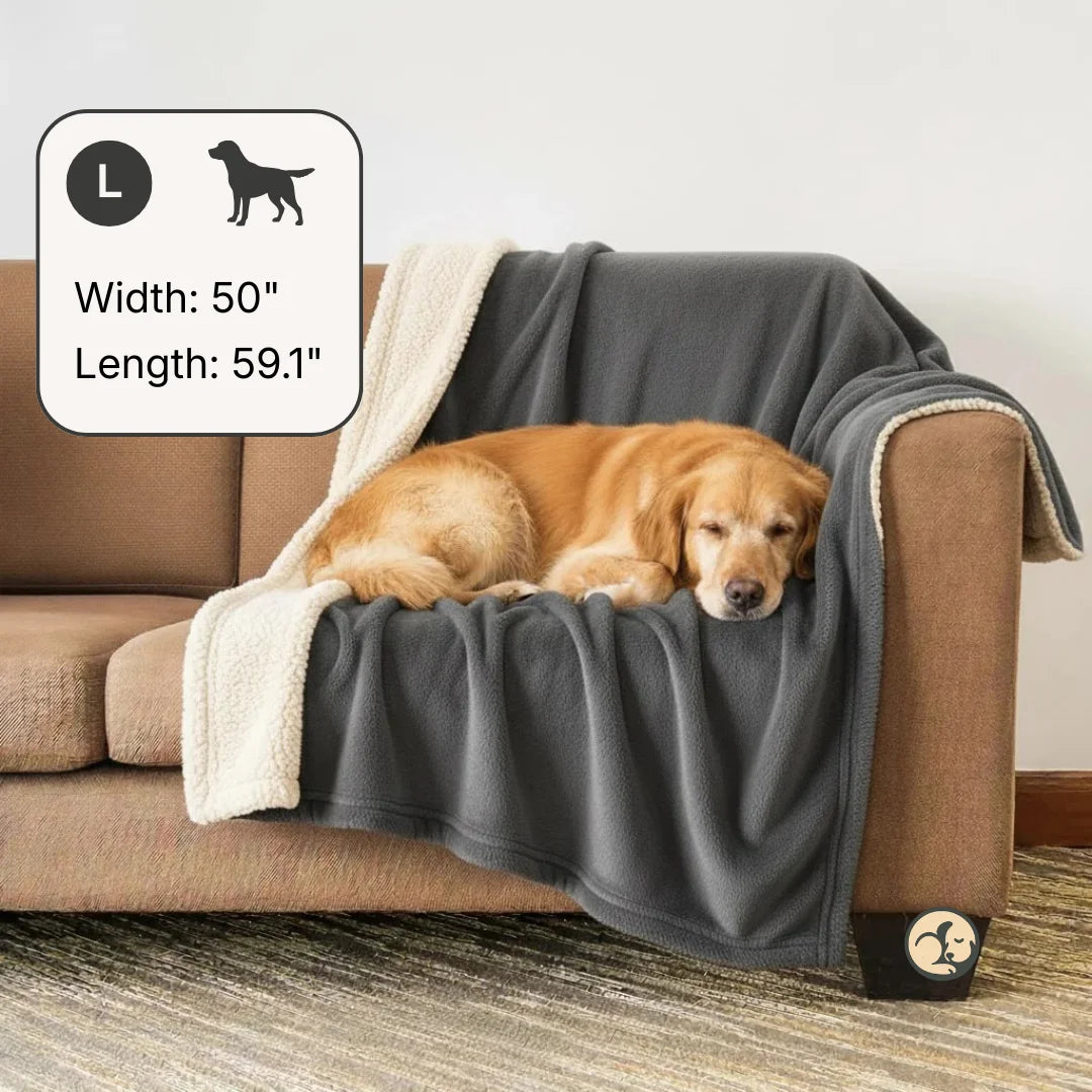 Waterproof Blanket by Plofty – Dark Gray