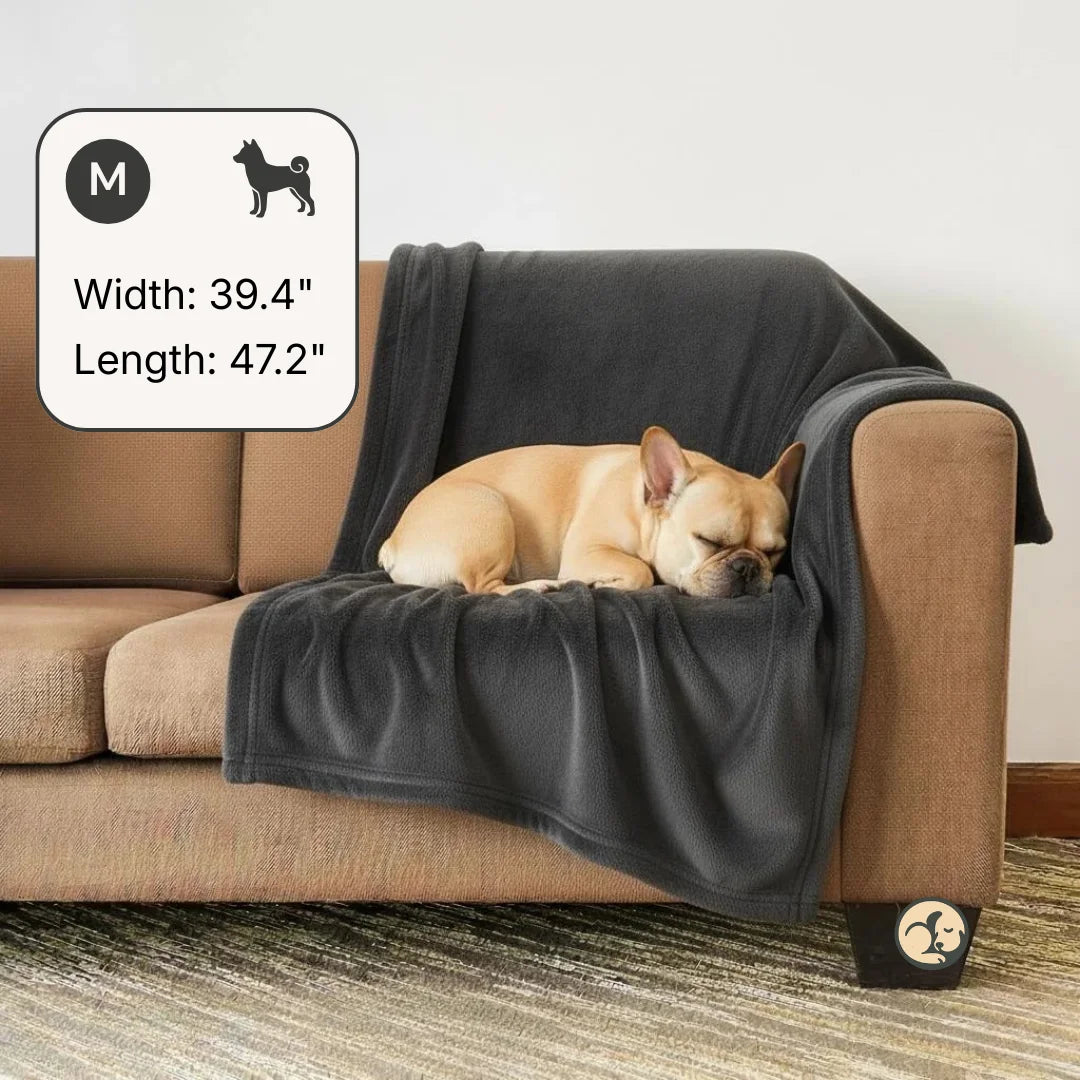 Waterproof Blanket by Plofty – Dark Gray