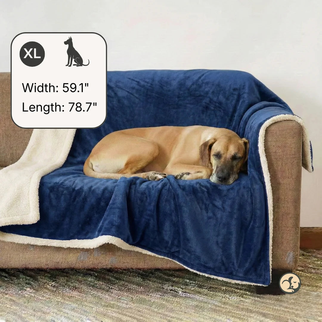Waterproof Blanket by Plofty – Blue
