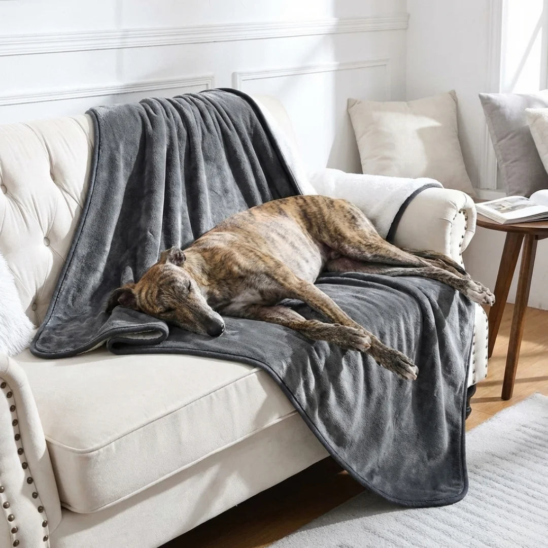 Waterproof Blanket by Plofty – Dark Gray